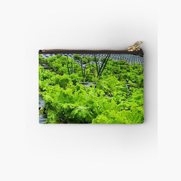 Item preview, lettuce plants designed and sold by ElinaAlton.