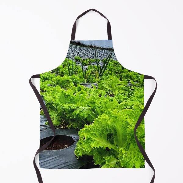 Item preview, lettuce plants designed and sold by ElinaAlton.