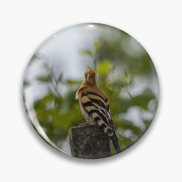 Item preview, Hoopoe designed and sold by Wolf22floW.