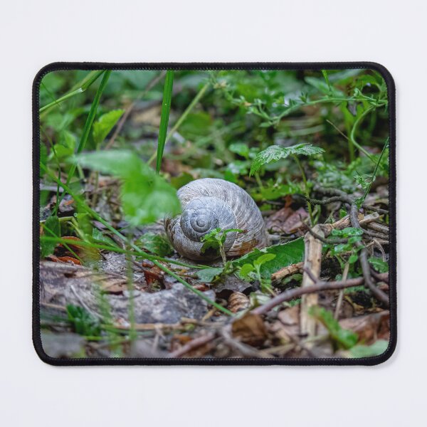 Item preview, Snail designed and sold by Wolf22floW.