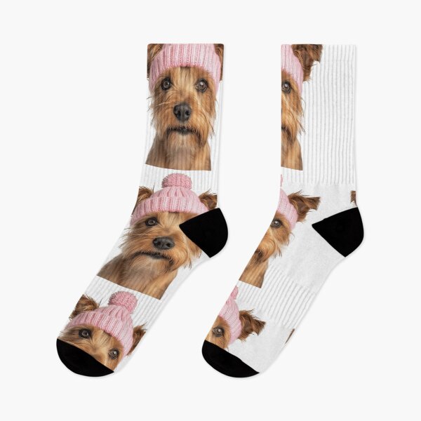 Item preview, Cozy Australian Terrier dog Wearing Pink Winter Hat Trendy Animal Fashion Artwork designed and sold by LazyOwlStore.