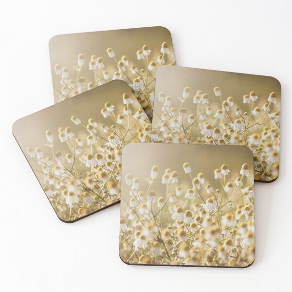 Item preview, Chamomile Blooms Back Lit by Morning Sun designed and sold by Imladris01.