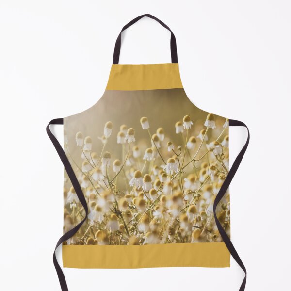 Item preview, Chamomile Blooms Back Lit by Morning Sun designed and sold by Imladris01.