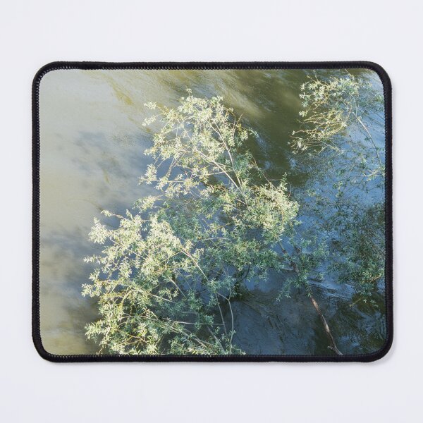 Item preview, Slow Moving River Current and Willow Tree Canopies designed and sold by Georgia Mizuleva.