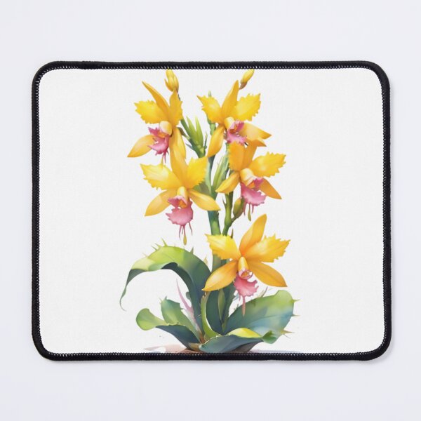 Item preview, Yellow Epiphyllum (Orchid Cactus) designed and sold by HOMETOWN86.