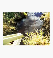 BEAUTY NATURE Photographic Print