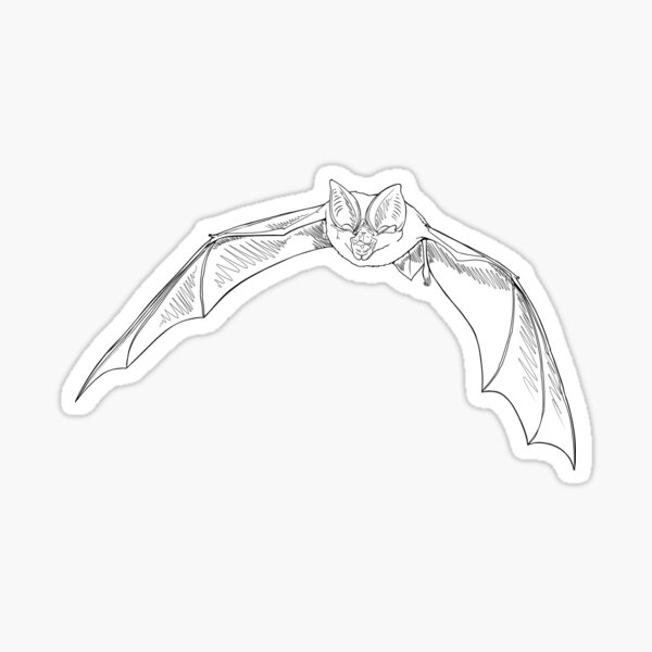 Item preview, Greater Large-Eared Horseshoe Bat line art designed and sold by KarlyFMixedArts.