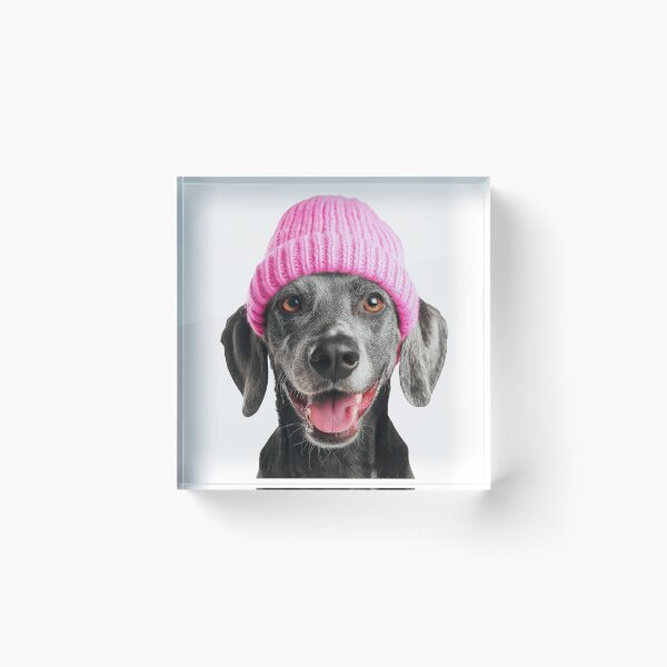 Item preview, Cozy Bluetick Coonhound dog Wearing Pink Winter Hat Trendy Animal Fashion Artwork designed and sold by LazyOwlStore.
