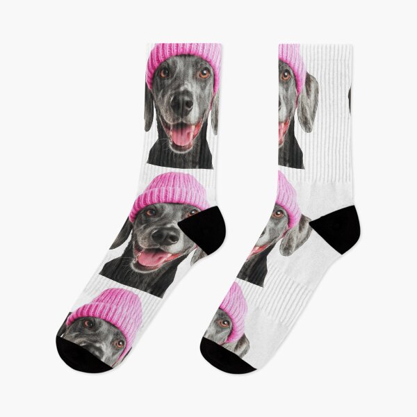 Item preview, Cozy Bluetick Coonhound dog Wearing Pink Winter Hat Trendy Animal Fashion Artwork designed and sold by LazyOwlStore.
