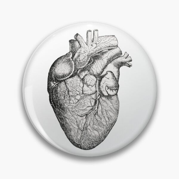 Item preview, Detailed Medical Illustration of the Human Heart Anatomical Structure designed and sold by portokalis.