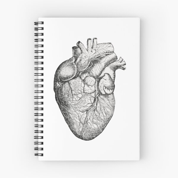 Item preview, Detailed Medical Illustration of the Human Heart Anatomical Structure designed and sold by portokalis.