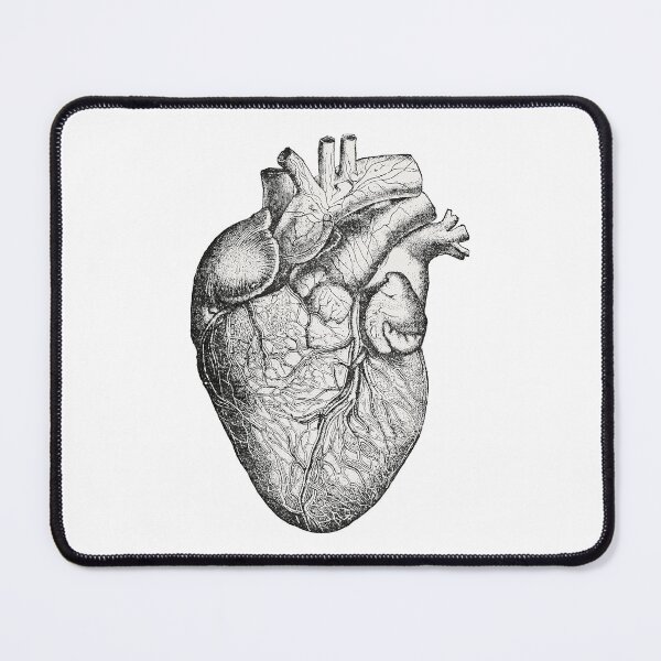 Item preview, Detailed Medical Illustration of the Human Heart Anatomical Structure designed and sold by portokalis.