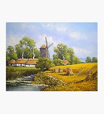 Oil paintings rural landscape. Fine art. Photographic Print