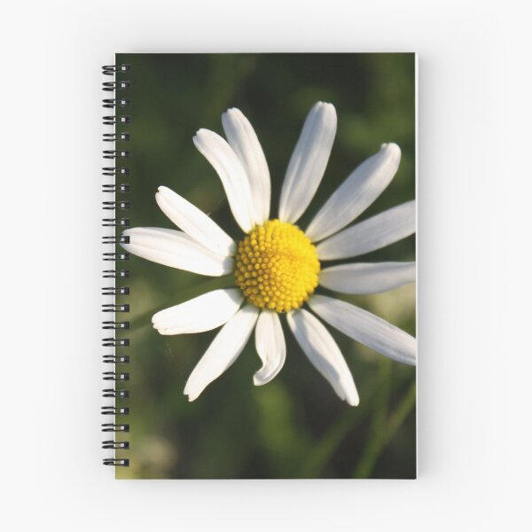 Item preview, White Flower designed and sold by Filifjonka.