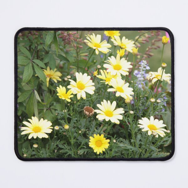 Item preview, Solstice 5 designed and sold by David Sokol.