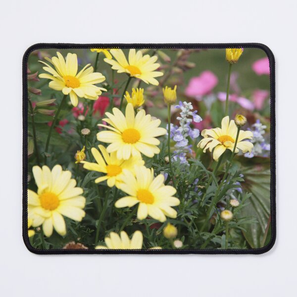 Item preview, Solstice 10 designed and sold by David Sokol.