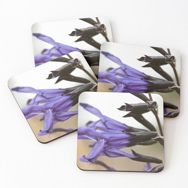 Item preview, Salvia (Black and Bloom variety) designed and sold by Melissa Holland.