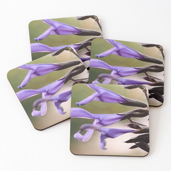Item preview, Salvia (Black and Bloom variety) designed and sold by Melissa Holland.