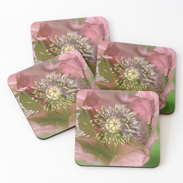Item preview, Double Exposure: Wild Purple Poppy with an Sea Urchin Cactus Flower designed and sold by Melissa Holland.