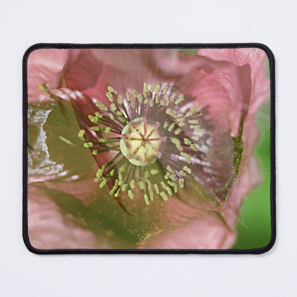 Item preview, Double Exposure: Wild Purple Poppy with an Sea Urchin Cactus Flower designed and sold by Melissa Holland.