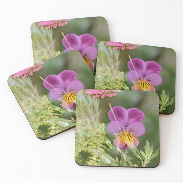 Item preview, Double Exposure: African Daisy with a Johnny Jump Up on a Textured Background #2 designed and sold by Melissa Holland.