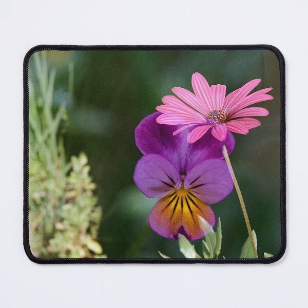 Item preview, Double Exposure: African Daisy with a Johnny Jump Up on a Textured Background designed and sold by Melissa Holland.
