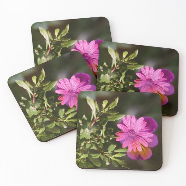 Item preview, Double Exposure: African Daisy with a Johnny Jump Up designed and sold by Melissa Holland.