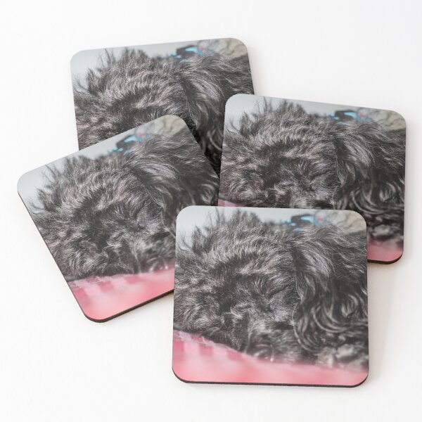 Item preview, Toy poodles designed and sold by KensLensDesigns.