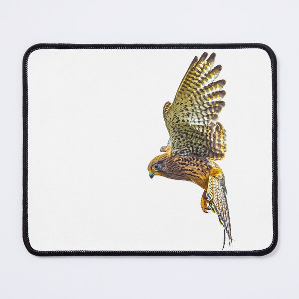 Item preview, Female Kestrel hovering designed and sold by Dalyndigital Photography.