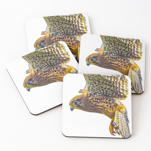 Item preview, Female Kestrel hovering designed and sold by Dalyndigital Photography.