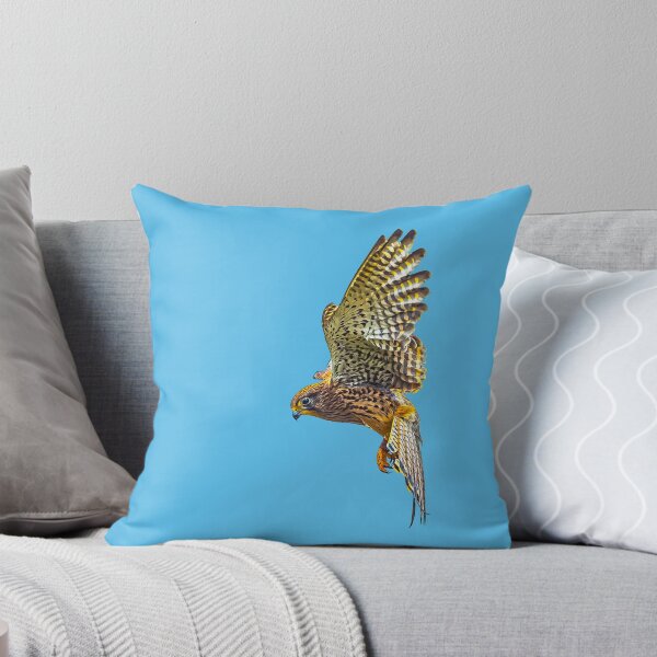 Item preview, Female Kestrel hovering designed and sold by Dalyndigital Photography.