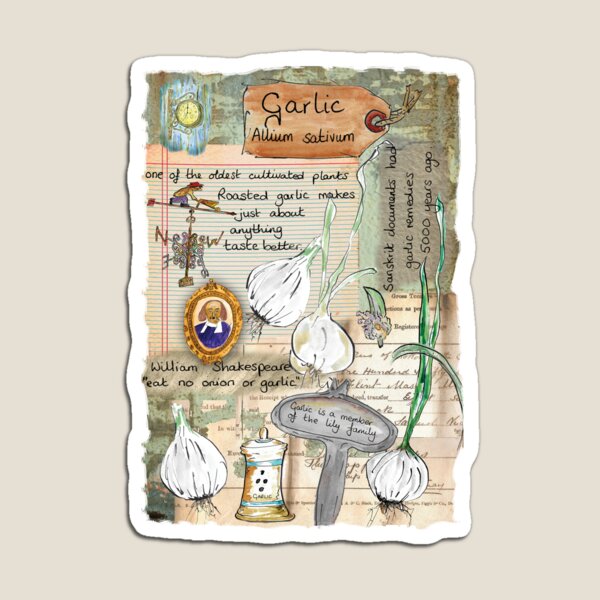 Garlic Magnet