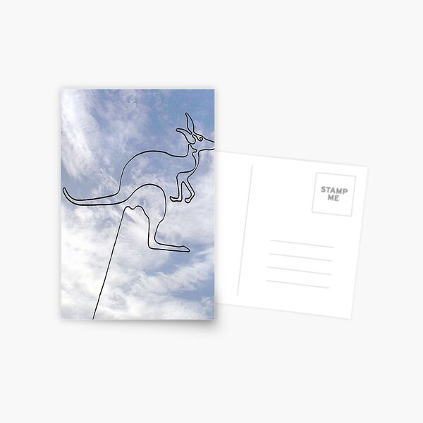 Kangaroo Postcard