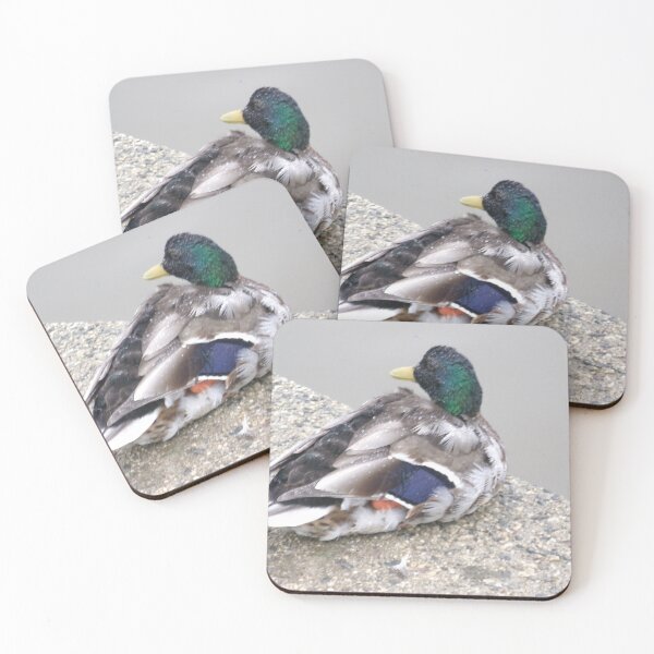 Item preview, Mallard Duck in Bude designed and sold by GooglyEyes-.