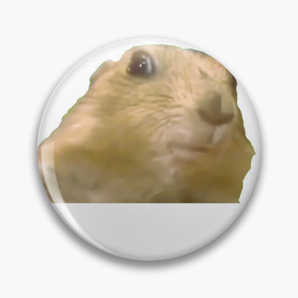 Item preview, Dramatic Chipmunk meme designed and sold by Demigrancias.