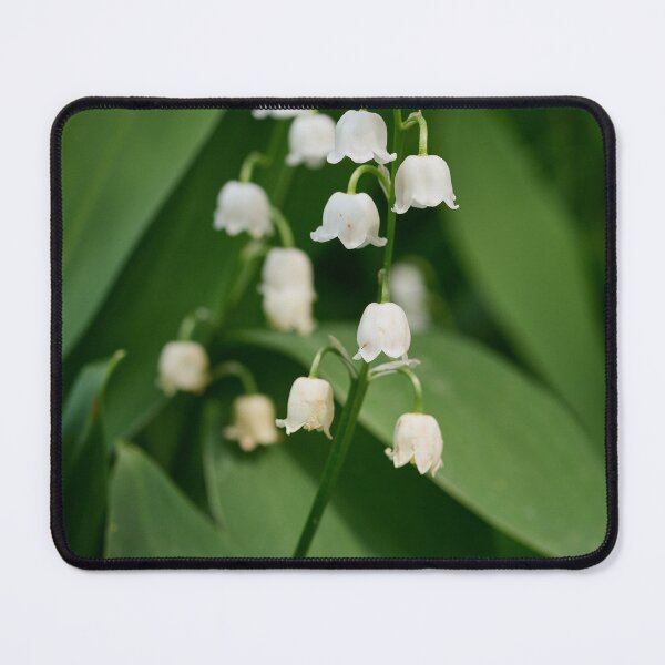 Item preview, The little bells. Lily of the valley designed and sold by Jouko Lehto Photography.