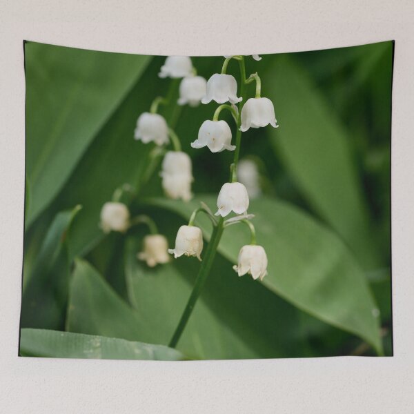 Item preview, The little bells. Lily of the valley designed and sold by Jouko Lehto Photography.