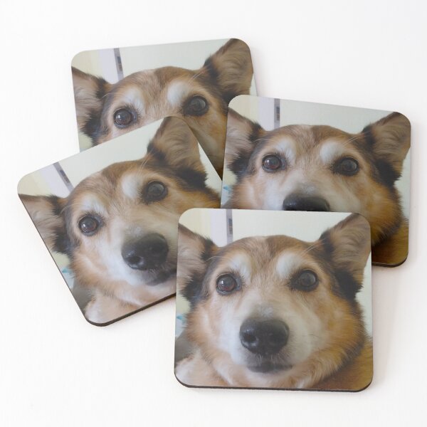 Item preview, Curious Canine Expressions designed and sold by GHmom.