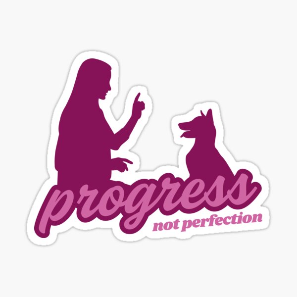 progress not perfection Sticker