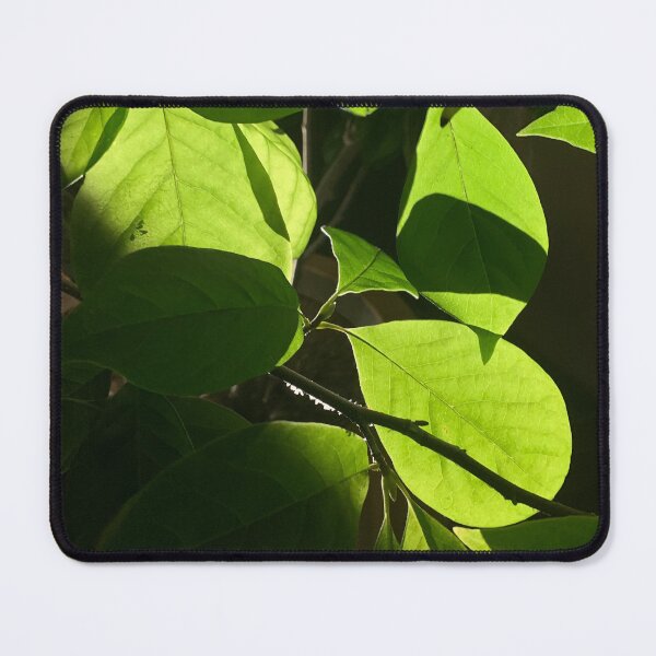 Item preview, Leaves at night designed and sold by agnessa38.