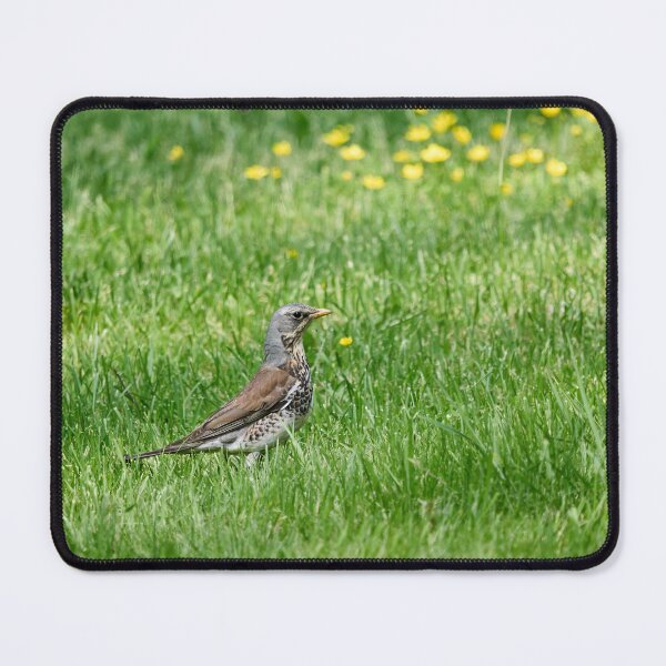 Item preview, Green fields. Fieldfare designed and sold by Jouko Lehto Photography.