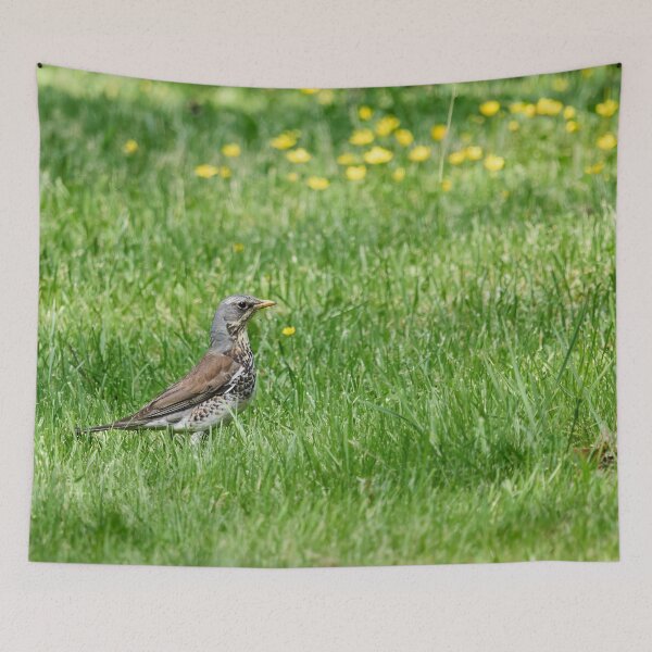 Item preview, Green fields. Fieldfare designed and sold by Jouko Lehto Photography.