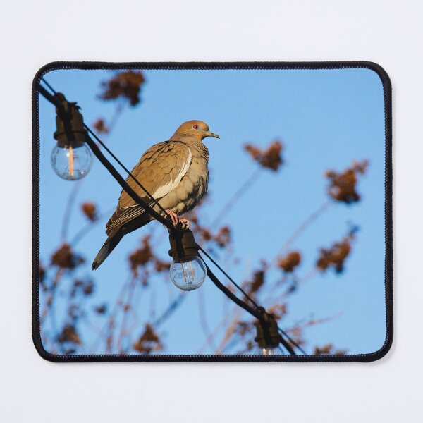 Item preview, Bird on a Wire designed and sold by Limitless Skys.