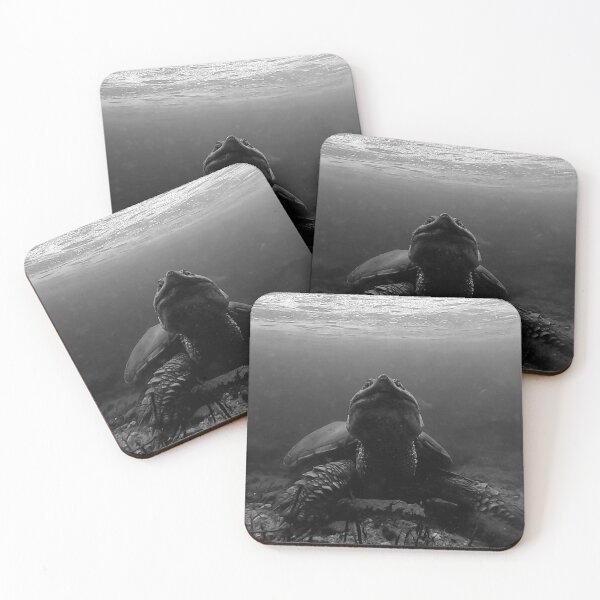 Item preview, Snapping Turtle Posing Underwater designed and sold by Sam Morrison.