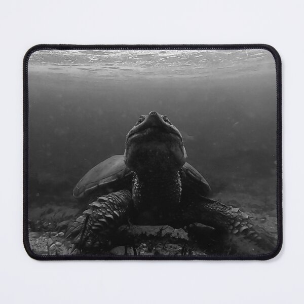 Item preview, Snapping Turtle Posing Underwater designed and sold by Sam Morrison.