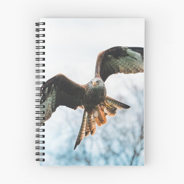 Item preview, Red-kite designed and sold by OwenReespics.