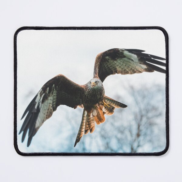 Item preview, Red-kite designed and sold by OwenReespics.
