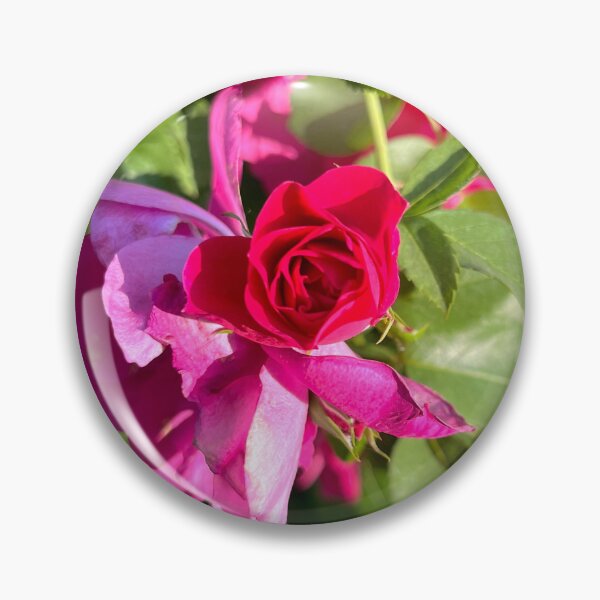 Item preview, The Exquisite Details of a Rose designed and sold by Lana Magnolia.