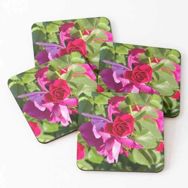 Item preview, The Exquisite Details of a Rose designed and sold by Lana Magnolia.