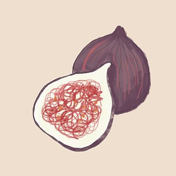 Artwork thumbnail, Fig fruit watercolour and charcoal drawing by OkiDokiDesign